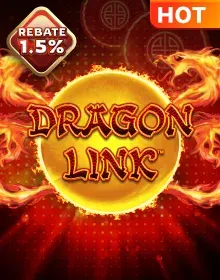 Dragon Link