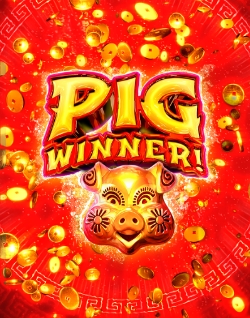 Popular Casino Games - Pig Winner