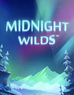 Popular Casino Games - Midnight Wilds