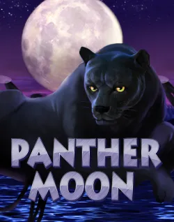 Popular Casino Games - Panther Moon