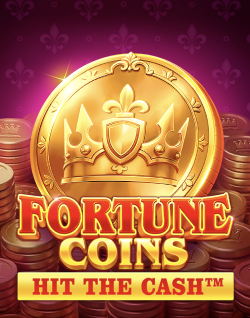 Online Slot Games - Fortune Coins