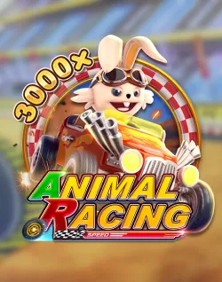 Online Slot Games - Animal Racing