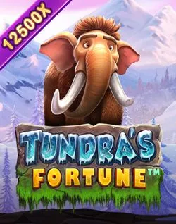 Online Slot Games - Tundra'S Fortune