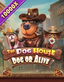 Online Slot Games - The Dog House – Dog Or Alive