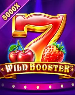 Online Slot Games - Wild Booster