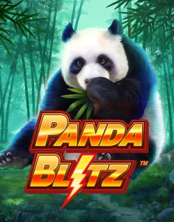 Online Slot Games - Panda Blitz