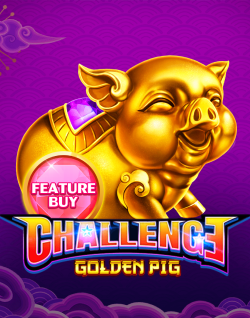 Online Slot Games - Feature Buy・Golden Pig