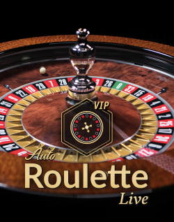 Popular Casino Games - Auto-Roulette Vip